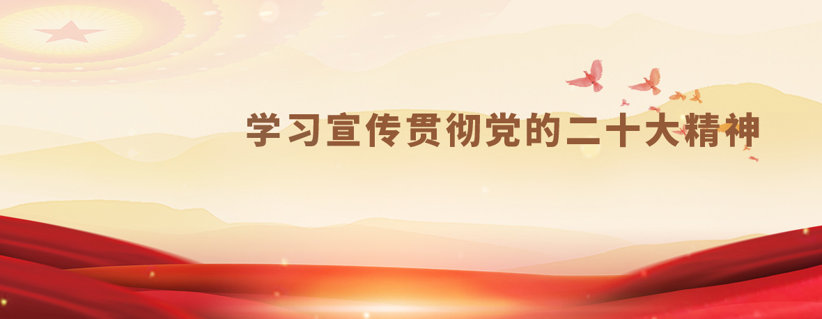 学习宣传贯彻党的二十大精神